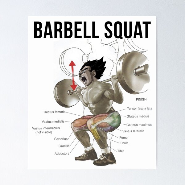 Anatomy Chart - Exercise Diagram - Anime - Squat Inspirational Poster TPM2008